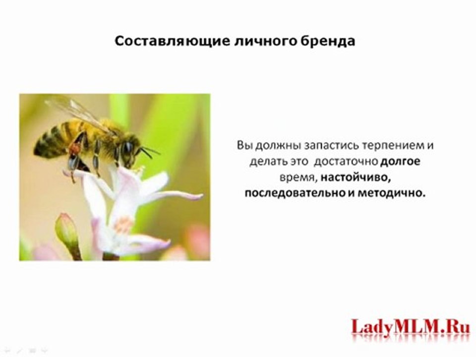 Что требуется Для Успеха Интернет-Бизнеса