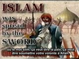 Zakir Naik, Terrorisme et Jihad d'après L'Islam (suite)