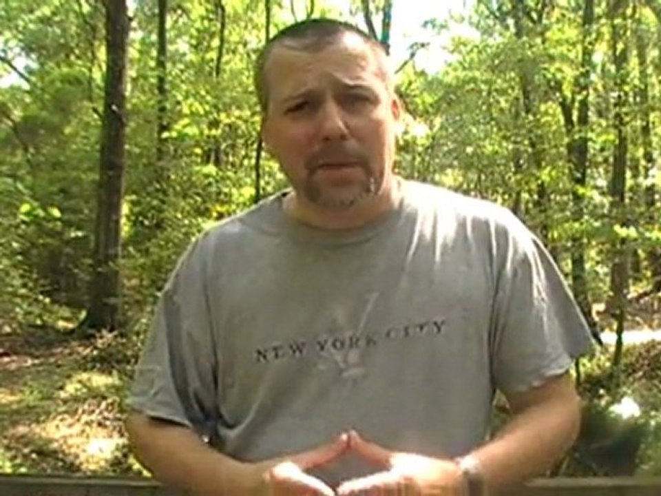 The Online Network Marketing GREAT SWAMP Factor