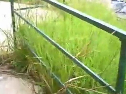 Aversa - Il parco Ninì Grassia