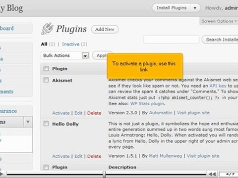 Managing your plugins in WordPress by VodaHost.com web hosting
