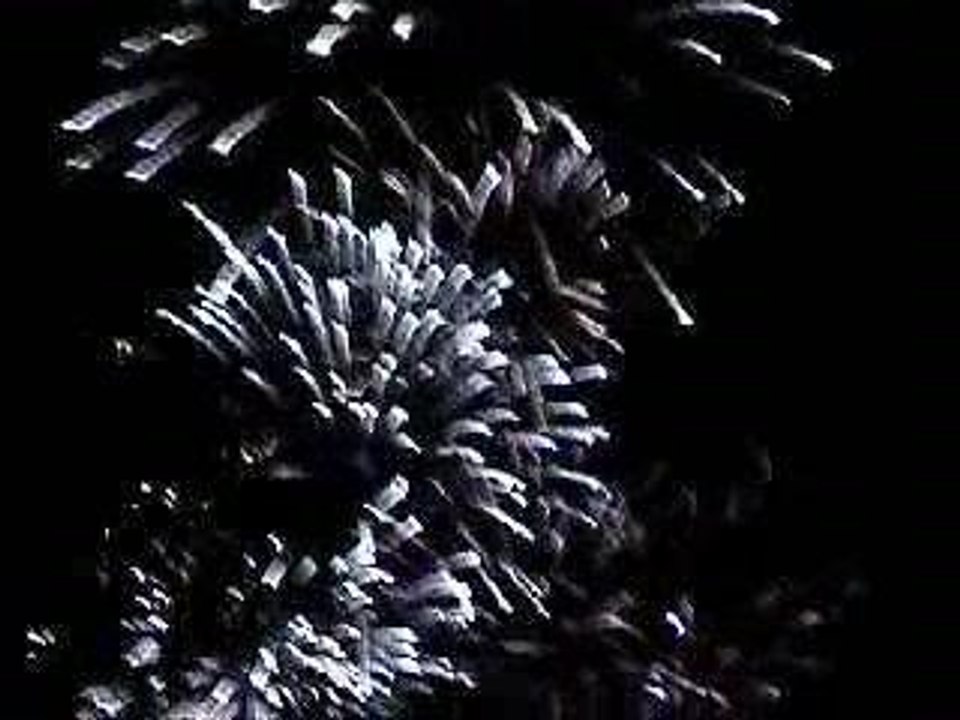 Fête du Lac d'Annecy - le final