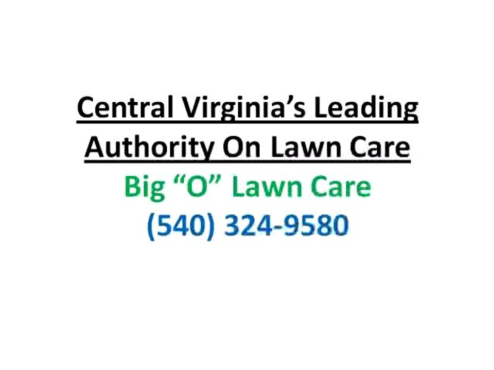 Lawn Care Virginia|Get Rid of Weeds and Dandelions