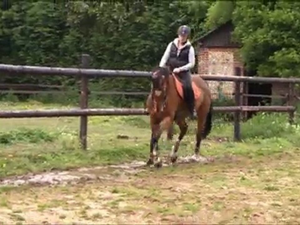 video ludger