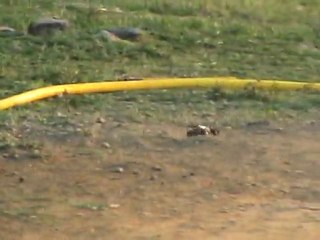 baja team 91 wkd du 1ermai11.9