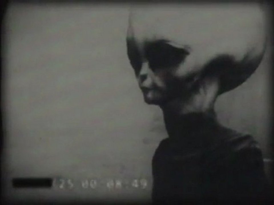 Alien.Zeta Reticuli.(doc)