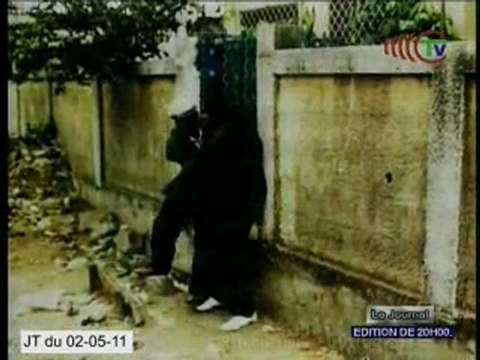 Présentation d'un jeune humoriste congolais