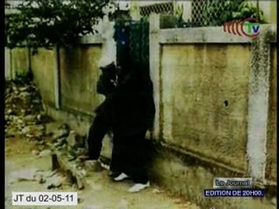 Présentation d'un jeune humoriste congolais