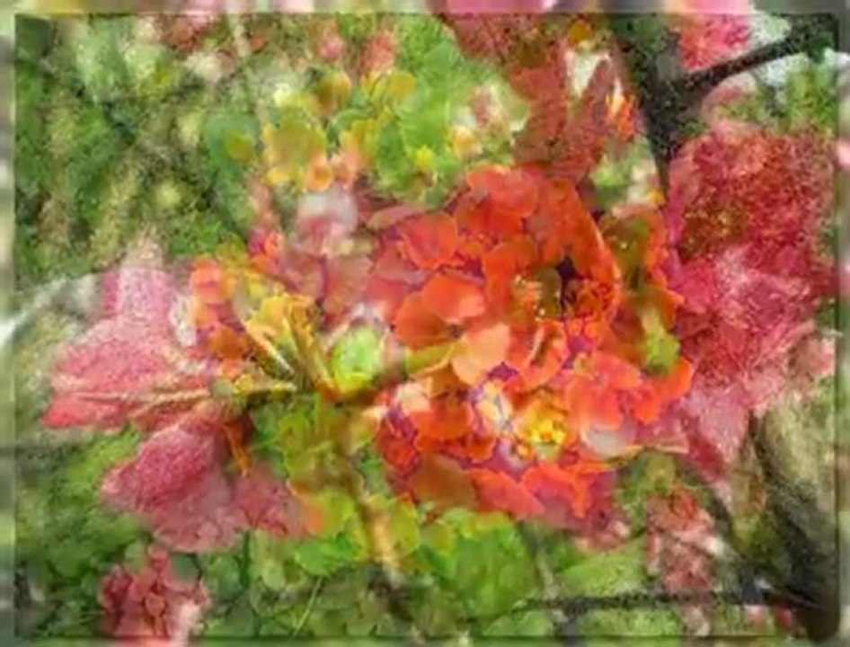 Juliette Chris Spheeris