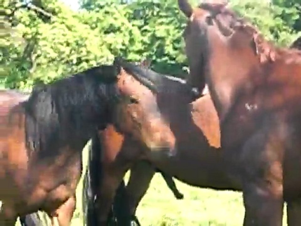 Titi a l'attaque....