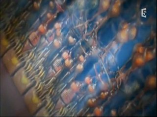 Mon corps ce héros - la vue. 2