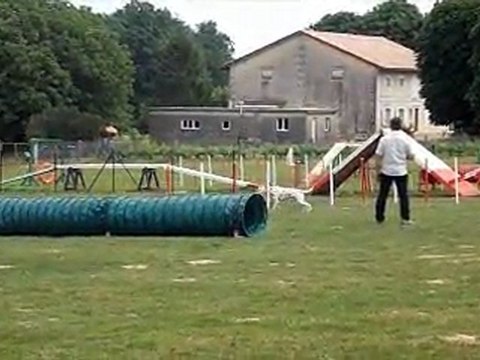 Selectif Agility à Tresses en gironde du Canis Club Pessacais Illacais Maureen Vicky 3 eme de la coupe 2eme degré C
