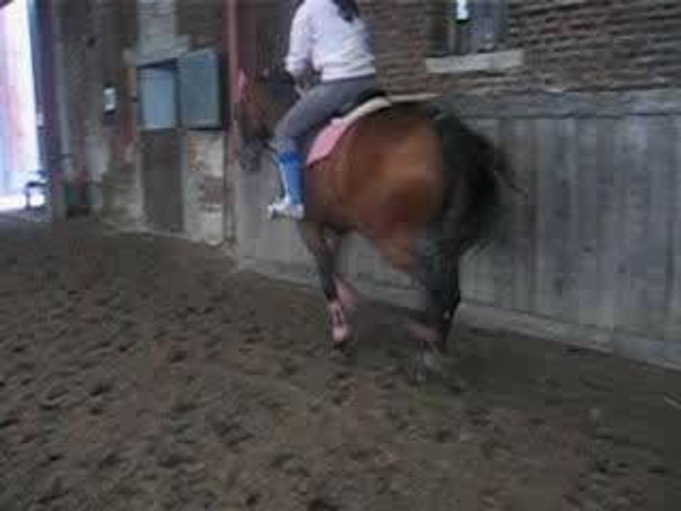 Jess Et Krik