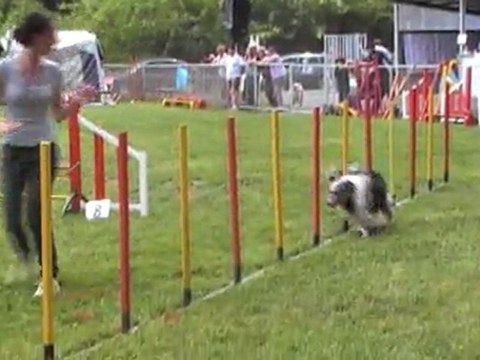 typhaine jumping 010511