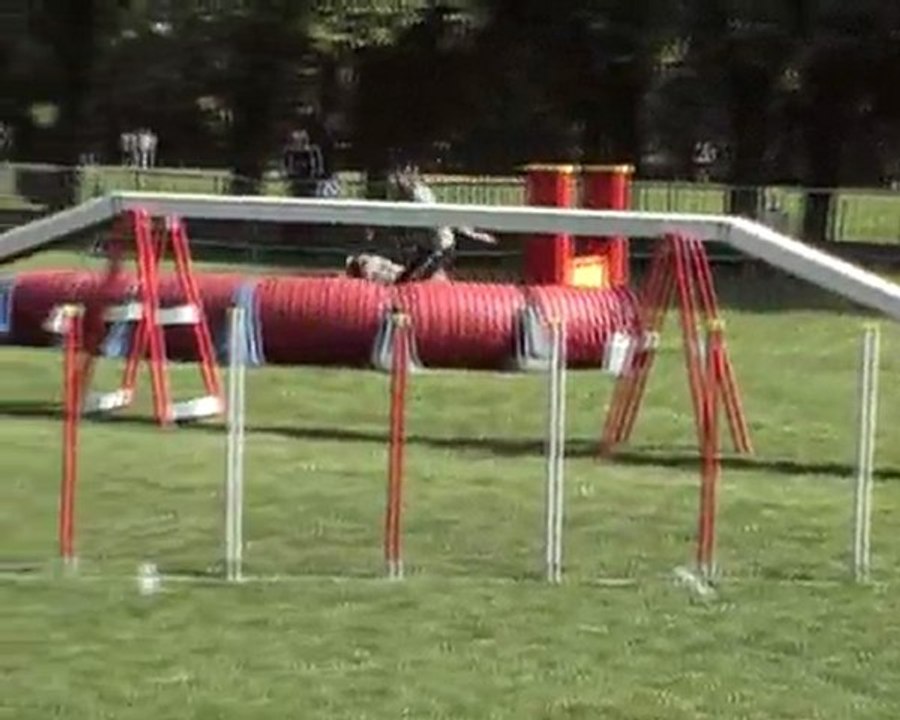 Championnat régional 2011 - Texan & Austral.wmv.MP4