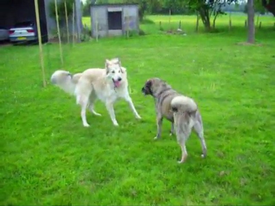 Egus et Mila (Jeux)