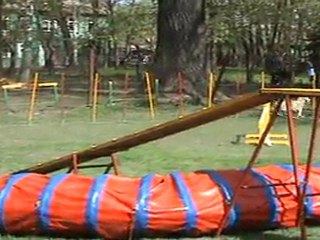 "Zuikelio taurė" - LinaxGuči1