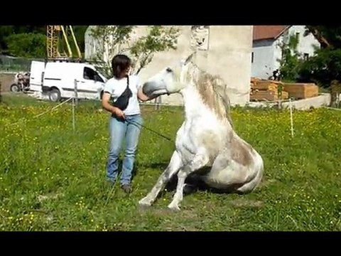 travail à pied avril 2011