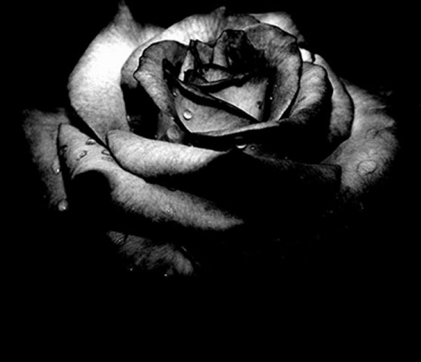 Schandmaul - Halt mich