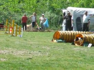 Cayenne Agility 3 degrè Régional Bours 2011