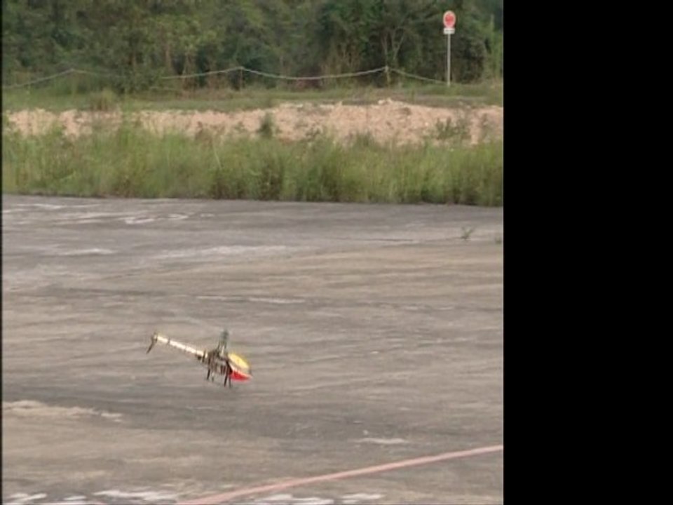 CopterX CX450 Black Angel 3D Flight Copterx France