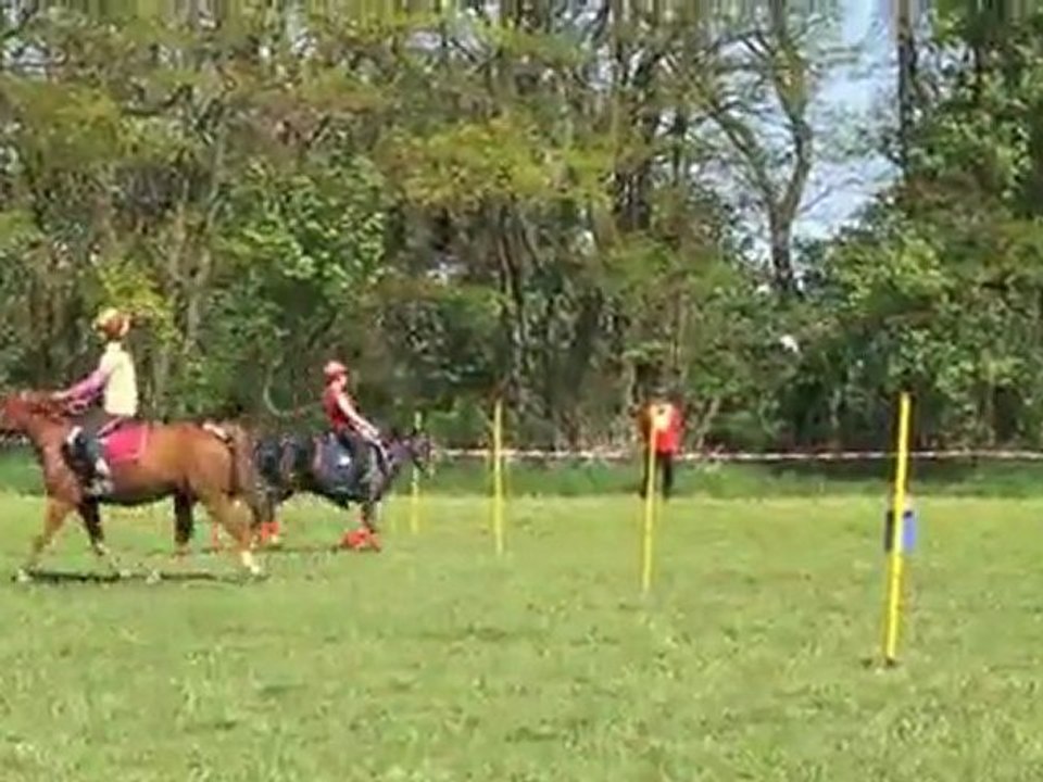 Mounted Games Pferde Turnier - Panitzsch