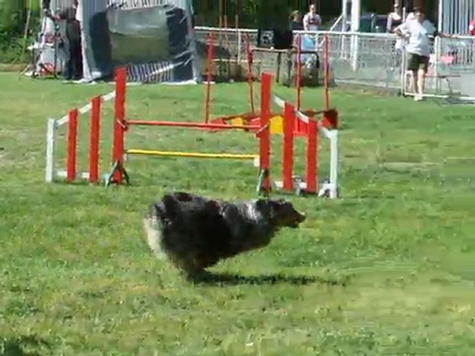 Under Agility 2 degrè Régional Bours 2011
