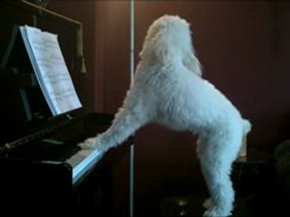 LAUREAT CONCOURS DE CHANT1