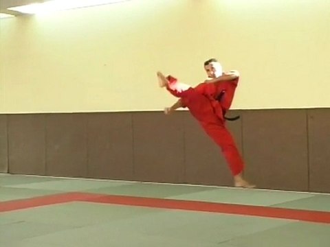 Art martiaux acrobatique