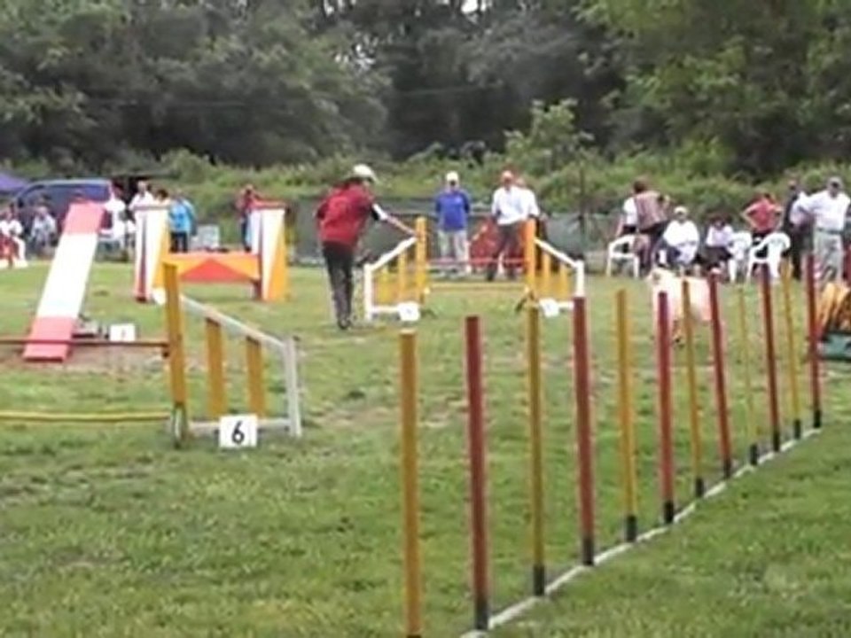SARAH degre 010511
