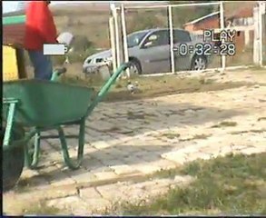 Kuşçu Şahin Soyluoğlu Kuşlar