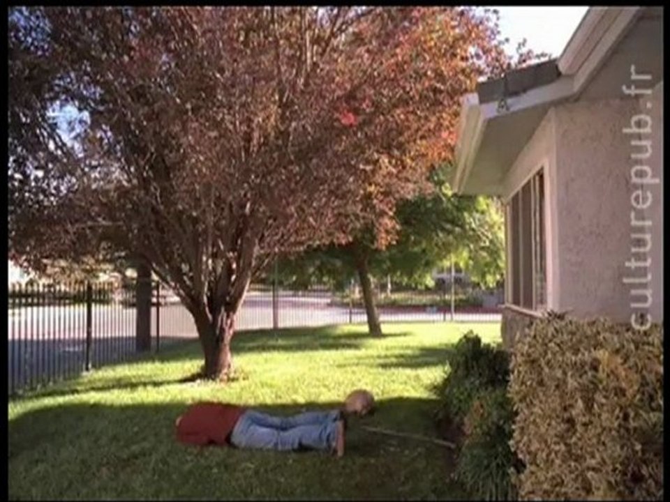 Culture Pub - La compile : Les meilleurs volailles de la pub.