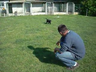 3 mai 2011 : Pascal aux Uranides