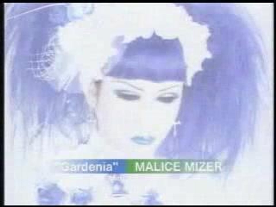 Gardenia