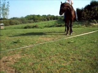 Timamour jambette monté