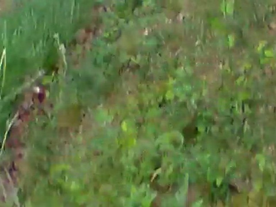 Rallye du muguet 2011