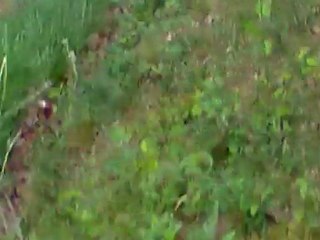 Rallye du muguet 2011