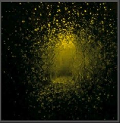 The Antlers -- Burst Apart -- 2011 HQ Full Album Free Download