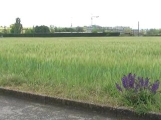 VOTATIONS DU 15 MAI - Deux visions opposées pour la Genève de demain.