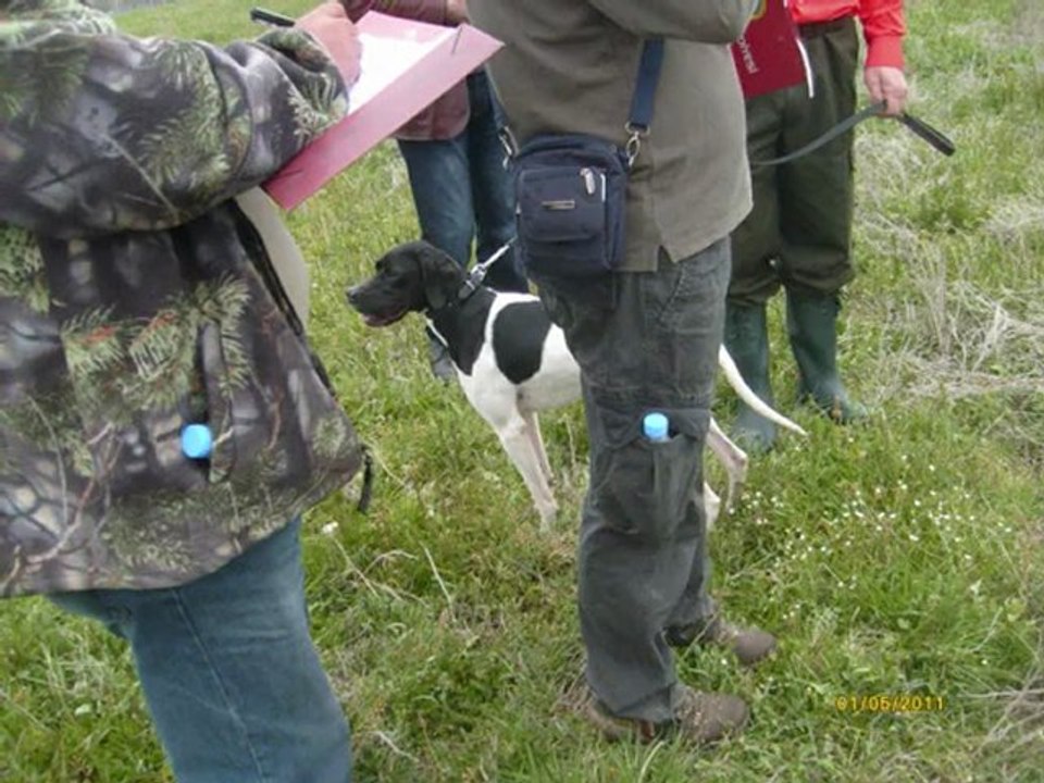 kütahya mera yarışması