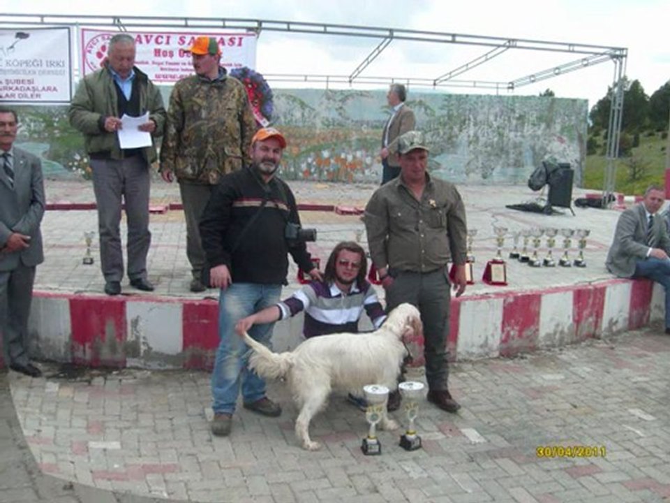 Tavşanlı Irk Standartları Yarışması Bölüm 2