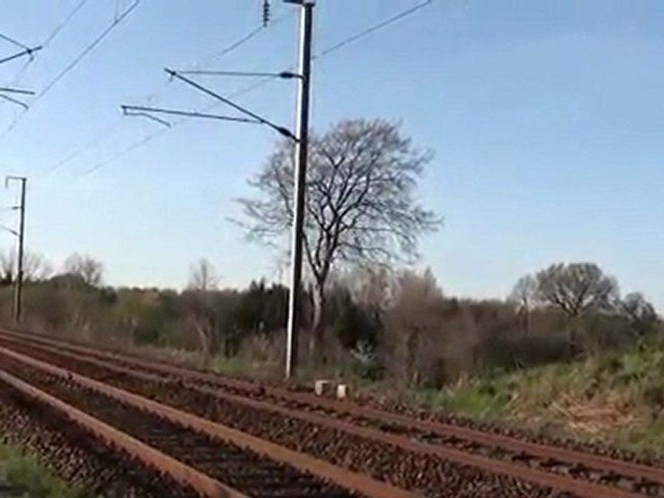 Ter bretagne