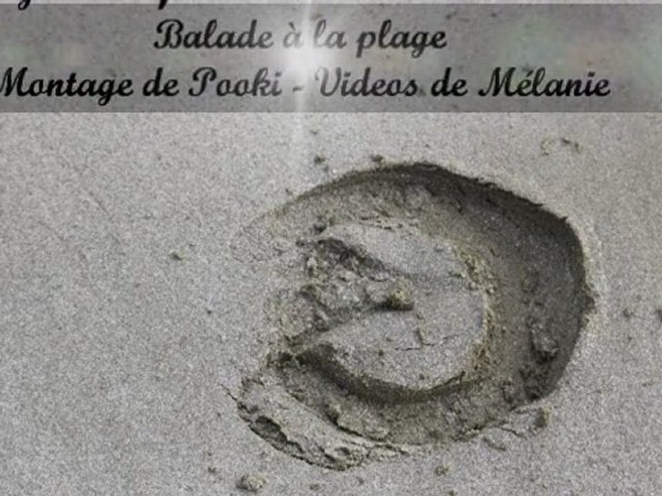 Kerguélen Equitation_Mardi 03 Mai 2011_Plage