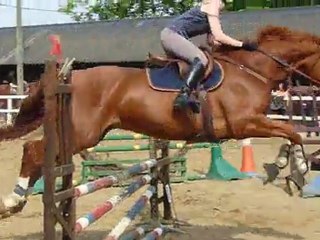 Liz et Seabird concours du 1 mai 2011 E2