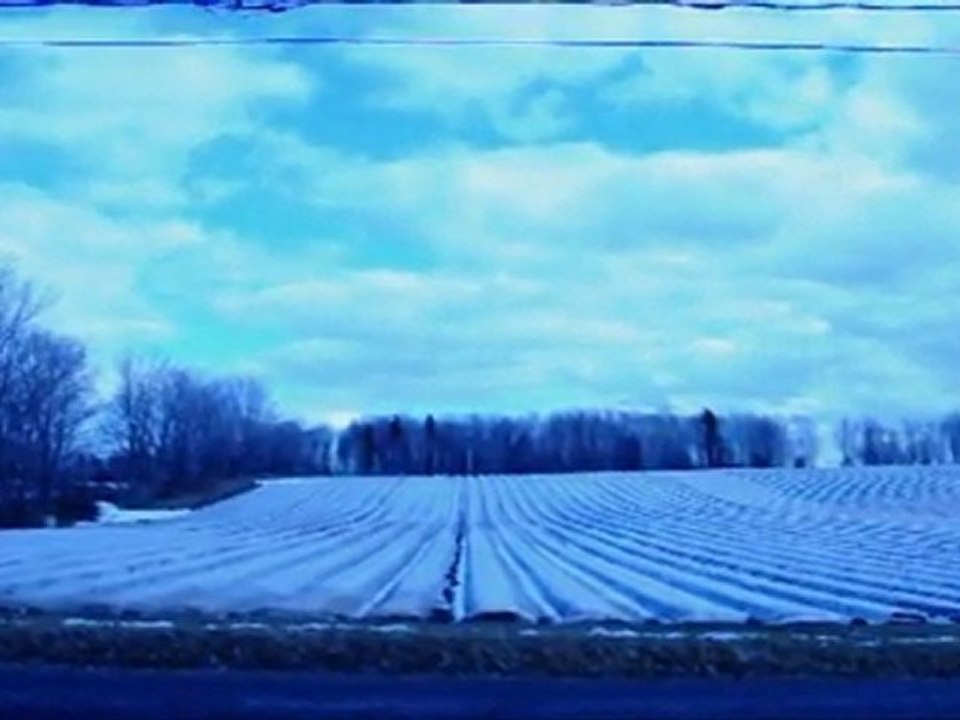 Tu es l'inconnu, tu es le passant