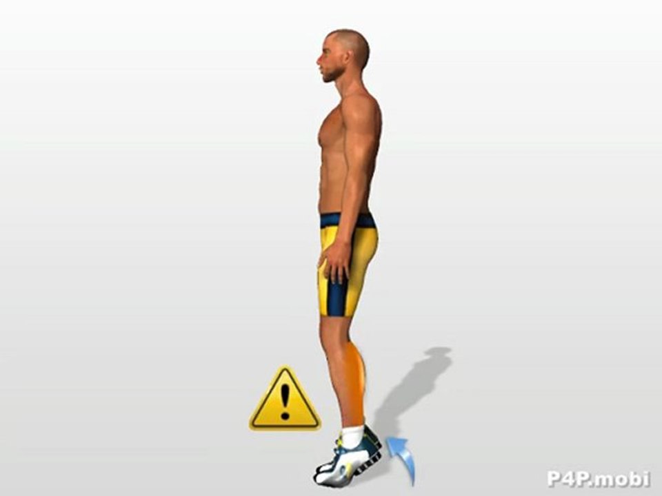 Musculation mollets ( muscler de femme   Homme )