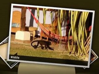 BAHIA DEL SOL BEACHFRONT HOTEL Rooms At Bahia Del Sol