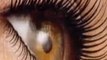 Idol Lash eyelash enhancer, grow thicker longer eye lashes and eye brows in weeks FREE package offer