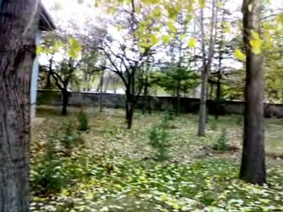 TÜFEKÇİPINAR KÖYÜ,STARKOKAL