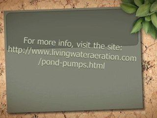 Your Best Guide In Choosing A Pump For The Pond